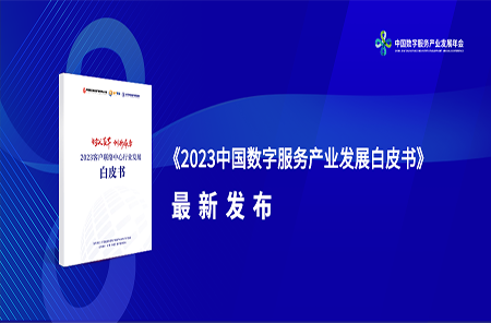 中国客户联络中心行业发展报告